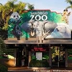 San Diego Zoo