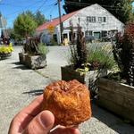Breadfarm