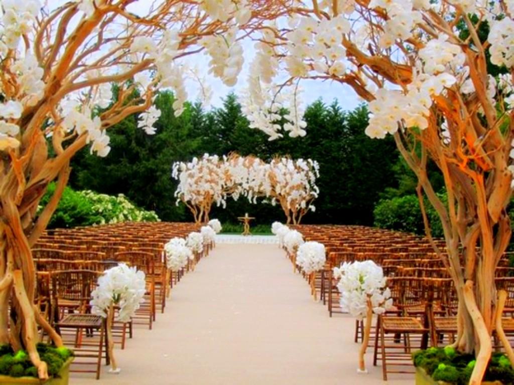 The Wedding Website of Kaity Renaud and Dominique Thorpe
