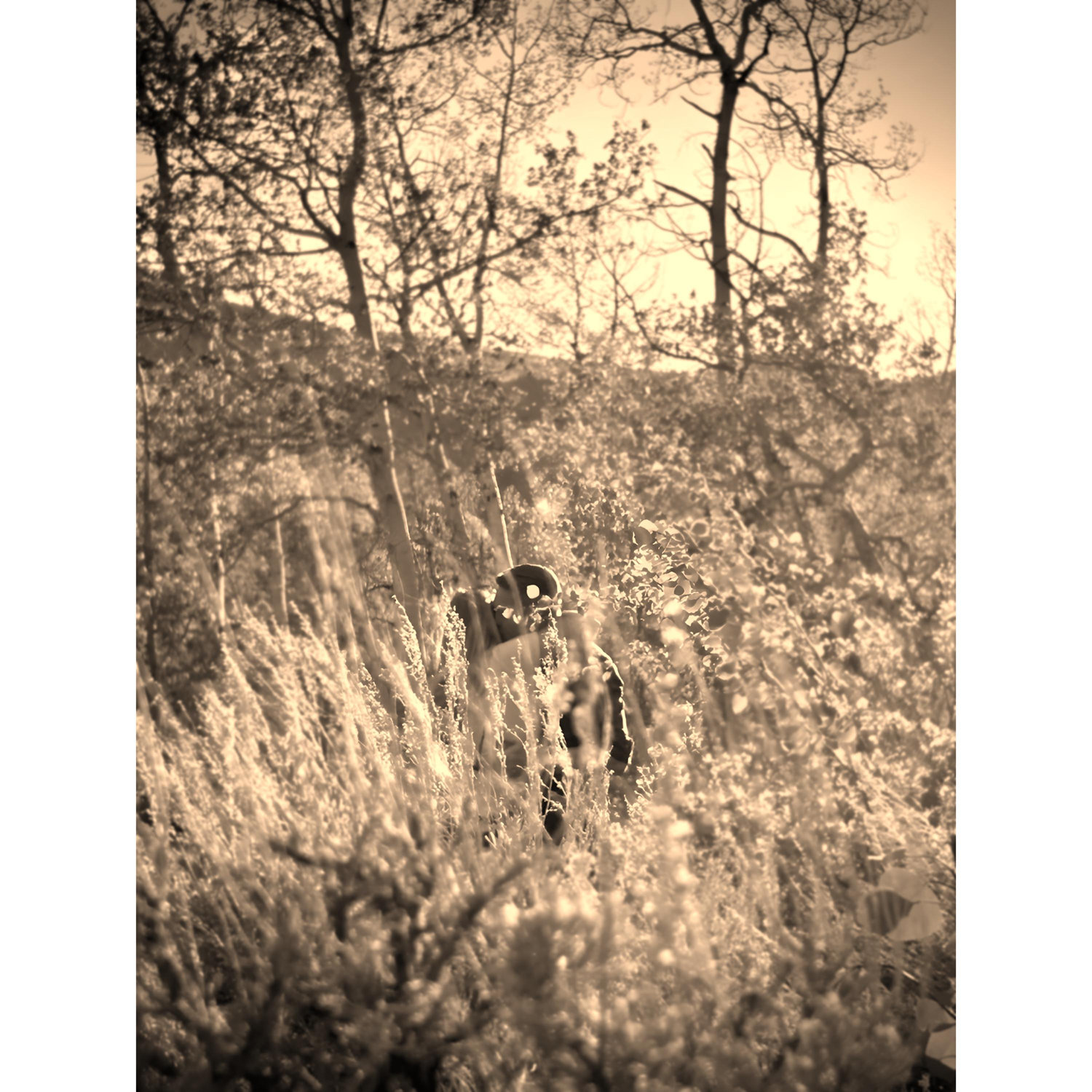 Captured forever: The moment we committed to forever, captured by a stealthy bush stalker.