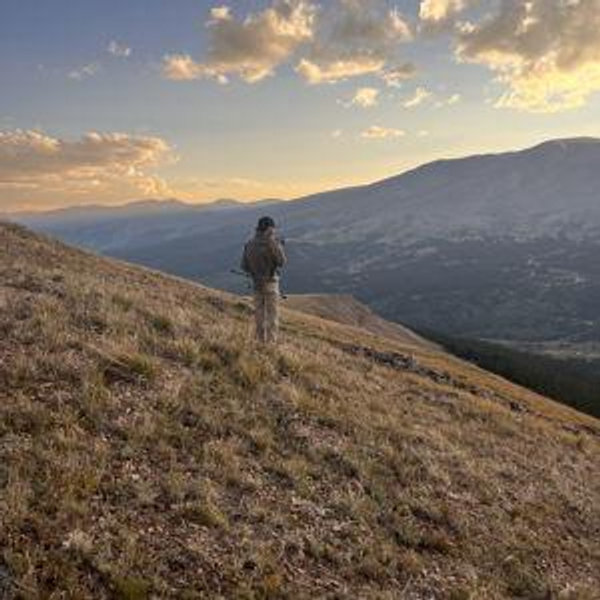 Montana Honeymoon