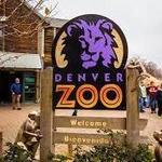 Denver Zoo