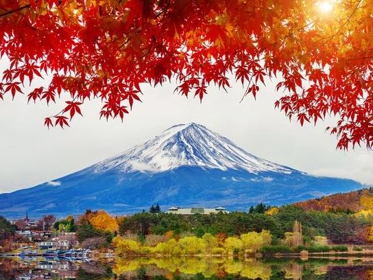 Day Trip to Mt. Fuji