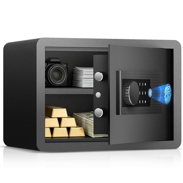 AEGIS Biometric Fingerprint Home Safe, 1.0 Cubic Feet Small Digital Security Hidden Safe Quick Access Unlock with Fingerprint/Keypad/Key for Cash, Jewelry, Document