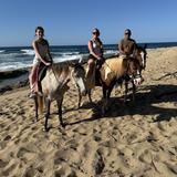 Pintos "R" Us Trail Rides