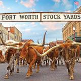 Thing To Do In Fort Worth, Texas: