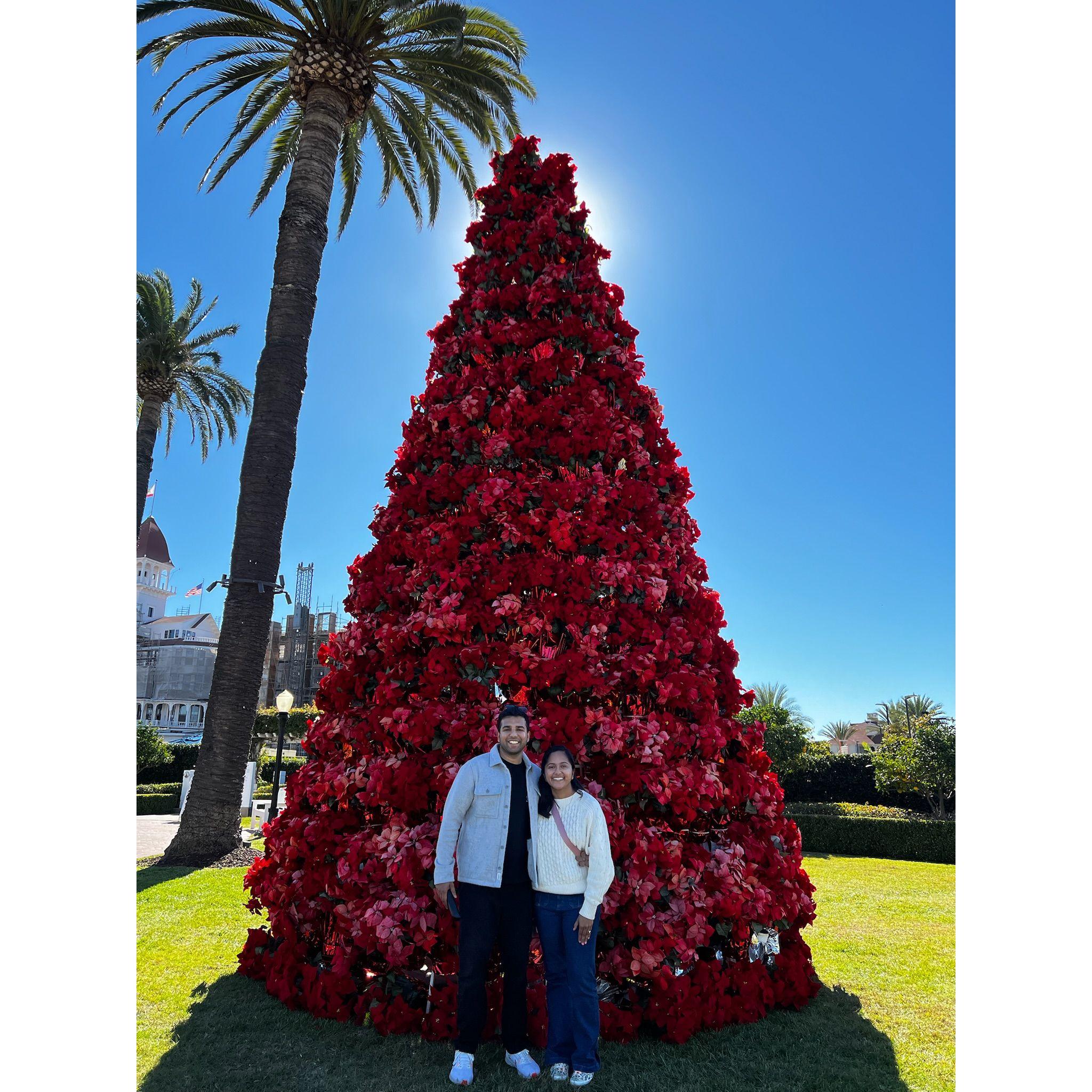 Christmas in Coronado!