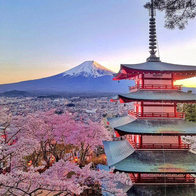 Honeymoon Fund 🇯🇵