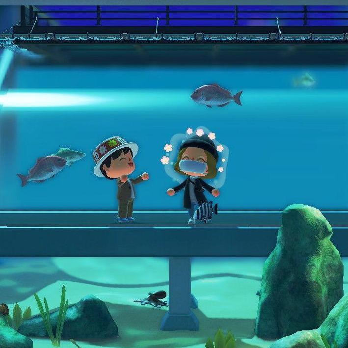 Back when we ran an aquarium together...