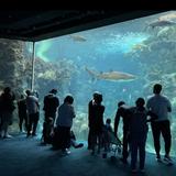 The Florida Aquarium