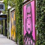 Explore the Funk Zone