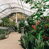 Butterfly Biosphere