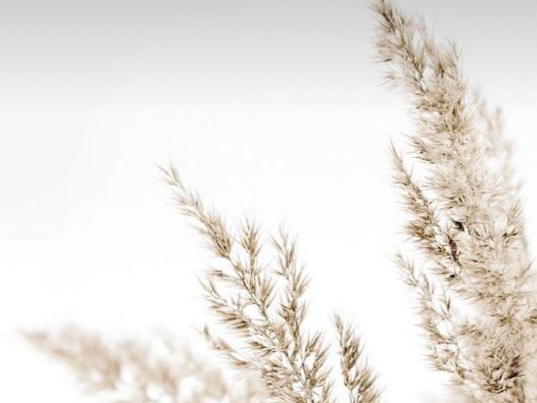 The Wedding Website of Kayla Muhammad and Hkeem Slade