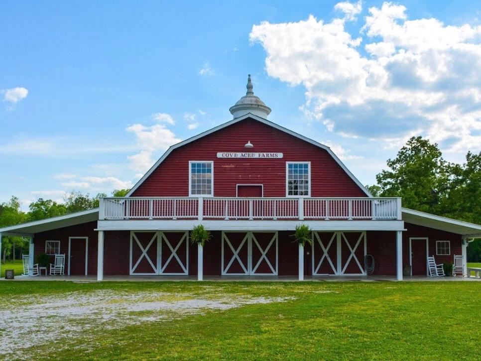 The Wedding Website of David O’dell and Jordan Dunaway