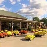 Trunnell's Market & Farm Experience
