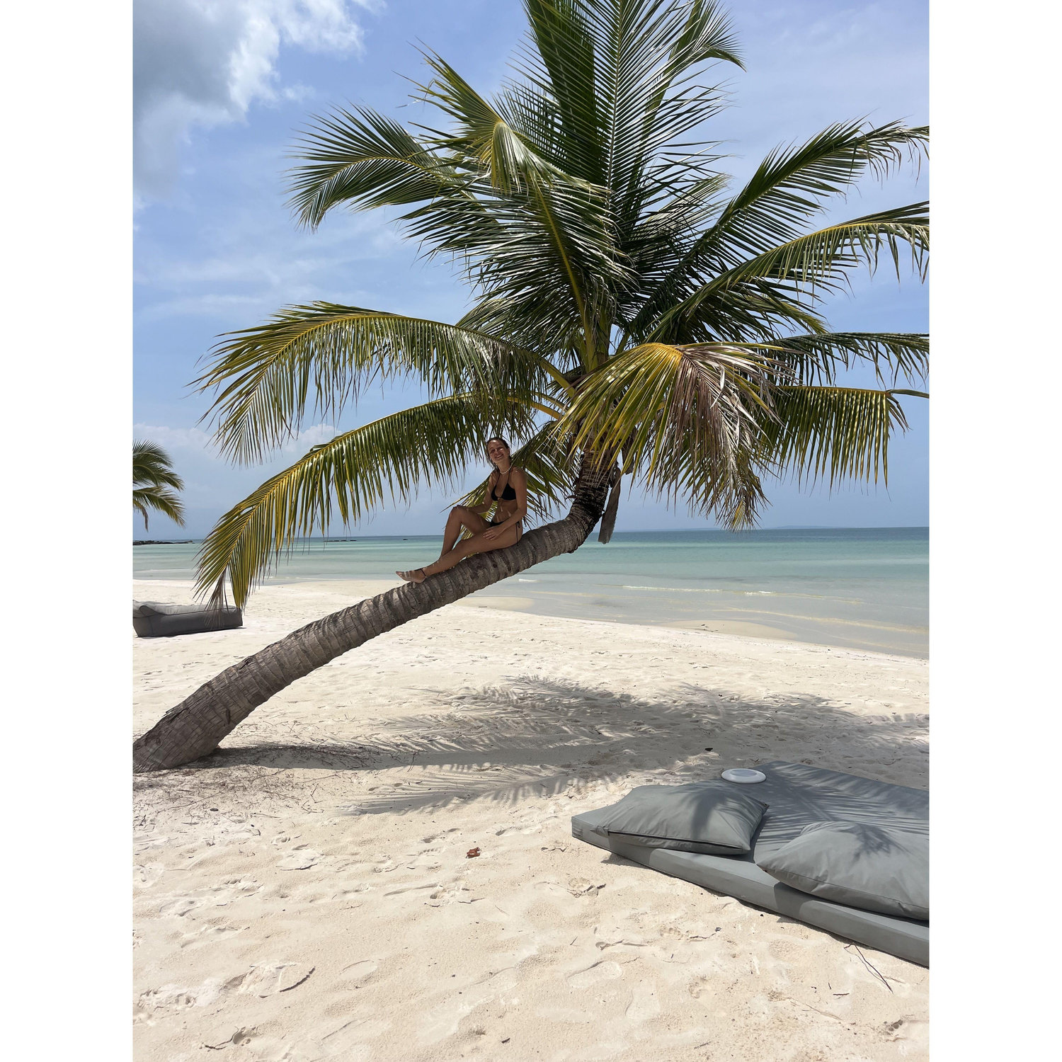2023 - Our favourite palm tree on the island