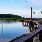 The Wyld Dock Bar