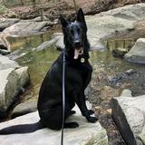 William B. Umstead State Park