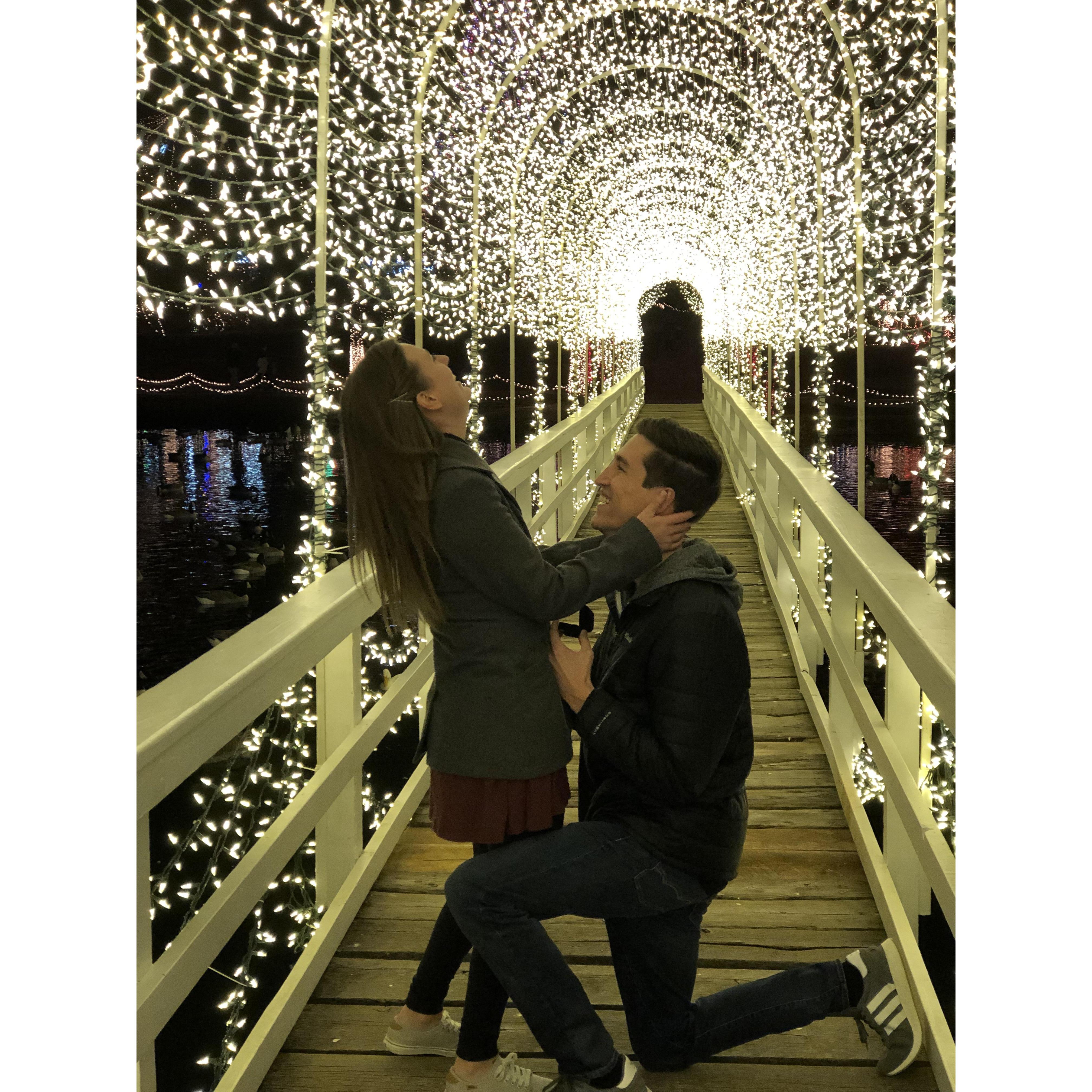 She said yes!
