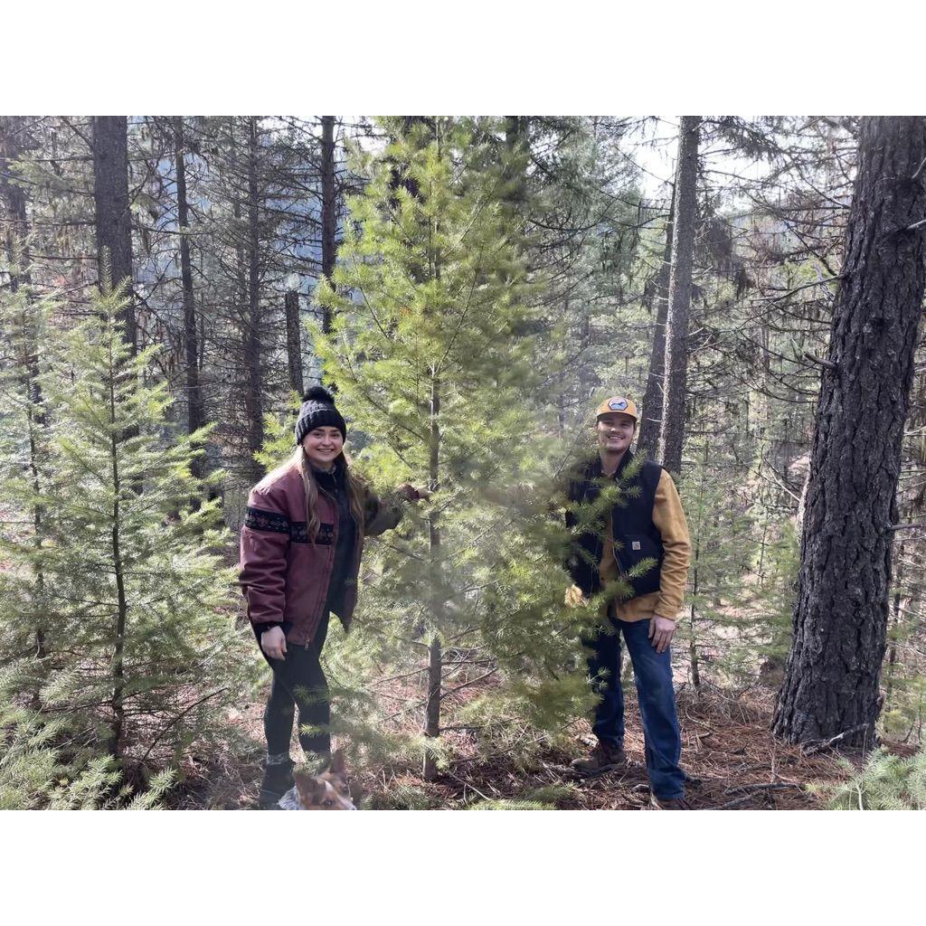 Tree Hunt - 2021