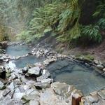 Terwilliger Hot Springs