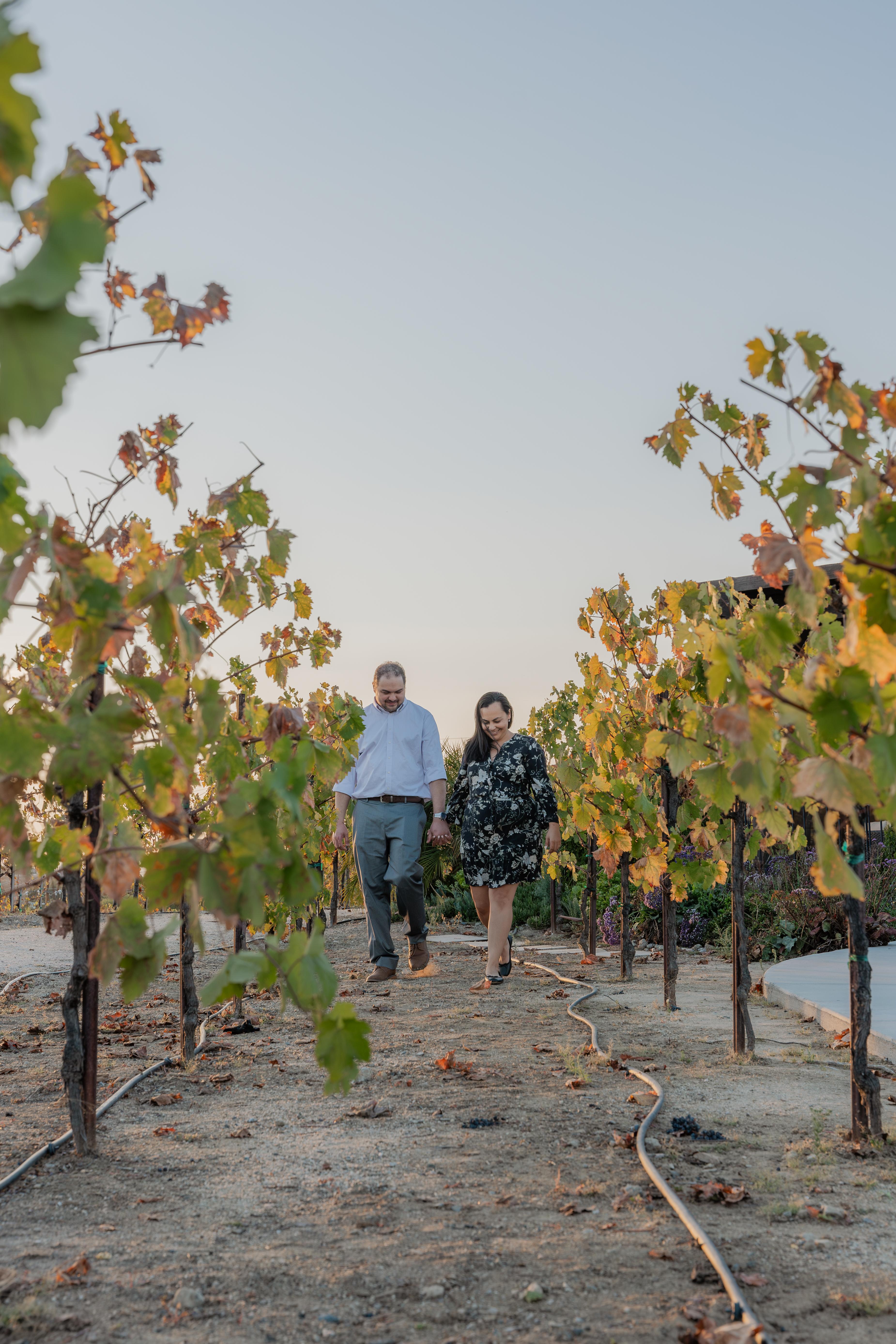 The Wedding Website of Derek Mercer and Lauren Irwin