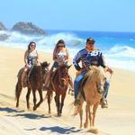Beach Horseback Rides