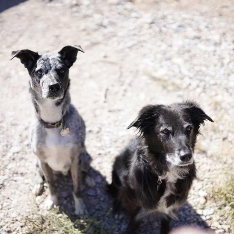 The Wedding Website of Maky Di Vita and Kipp Schorr