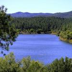 Lynx Lake