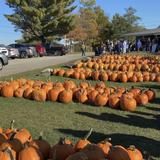 Treworgy Family Orchards
