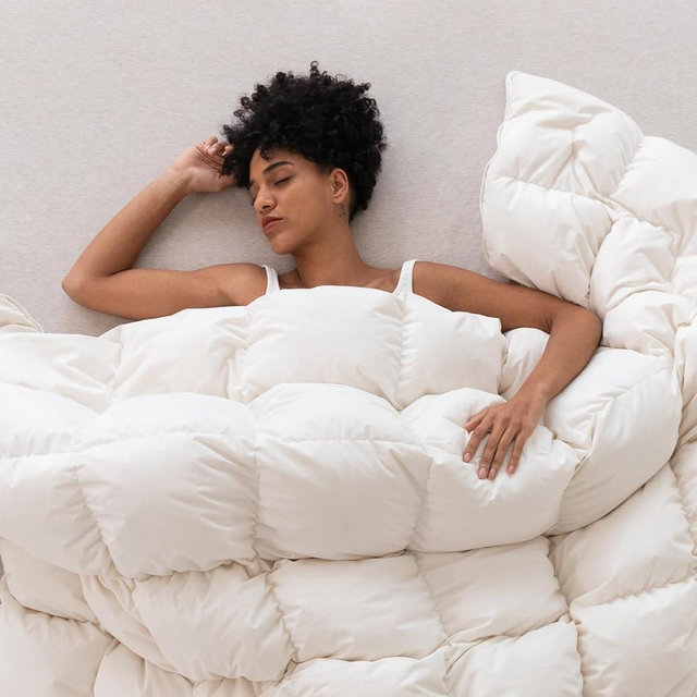 Three Geese Luxury Down Feathers Fiber Comforter Queen Size - 750 Fill Power All Season Down Duvet Insert, Ultra-Soft Hotel Collection White Comforter, Baffle-Box Design - Noiseless - Lightweight.