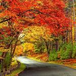 Park Loop Road