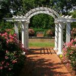 The Frelinghuysen Arboretum