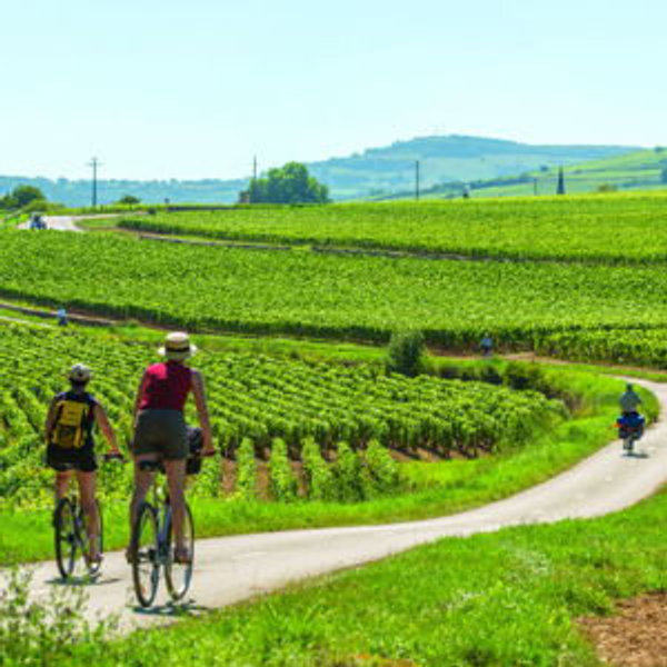 Route des Grands Crus: Wine Tasting Along the Burgundy Wine Trail