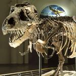 Field Museum