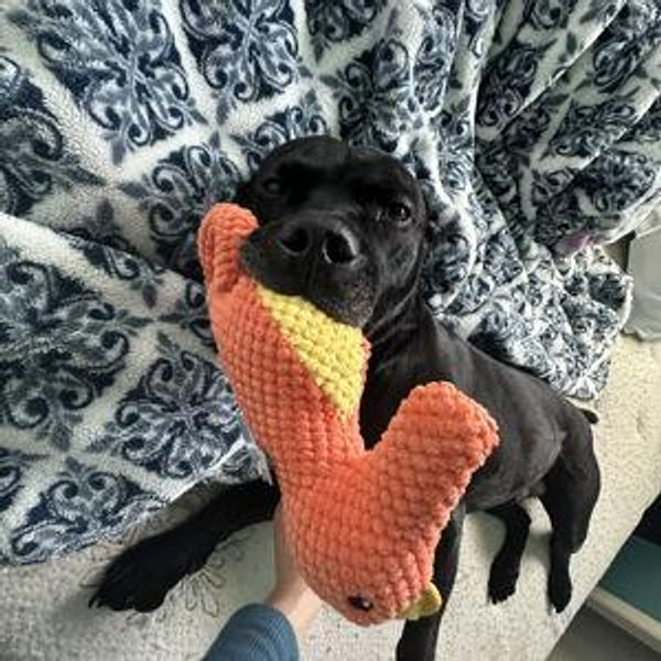 Slater's Toy Fund