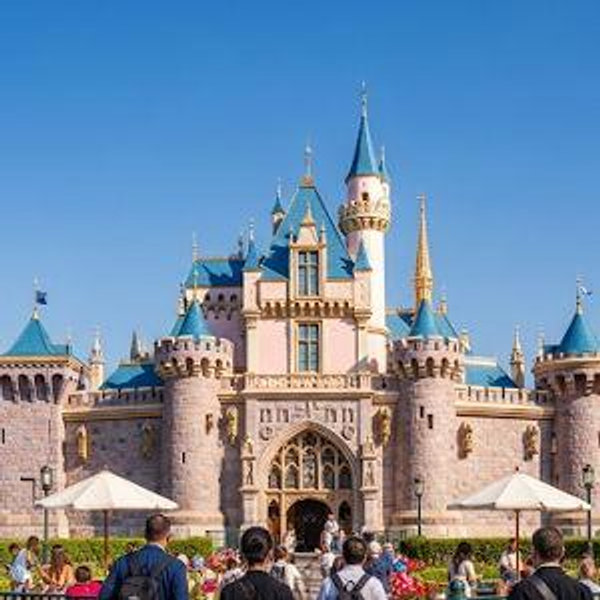 Disneyland! (Honeymoon)