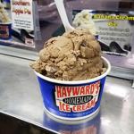 Hayward's Ice Cream - Merrimack