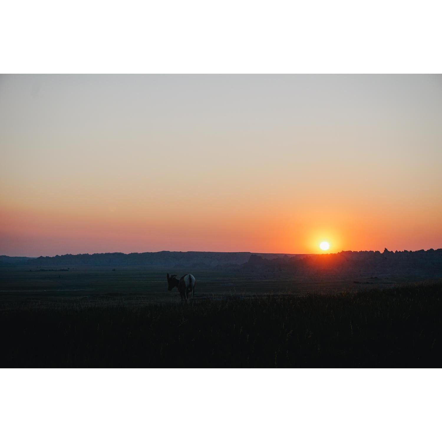 Goodnight and goodbye Badlands!