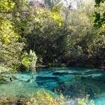 Ichetucknee Springs State Park