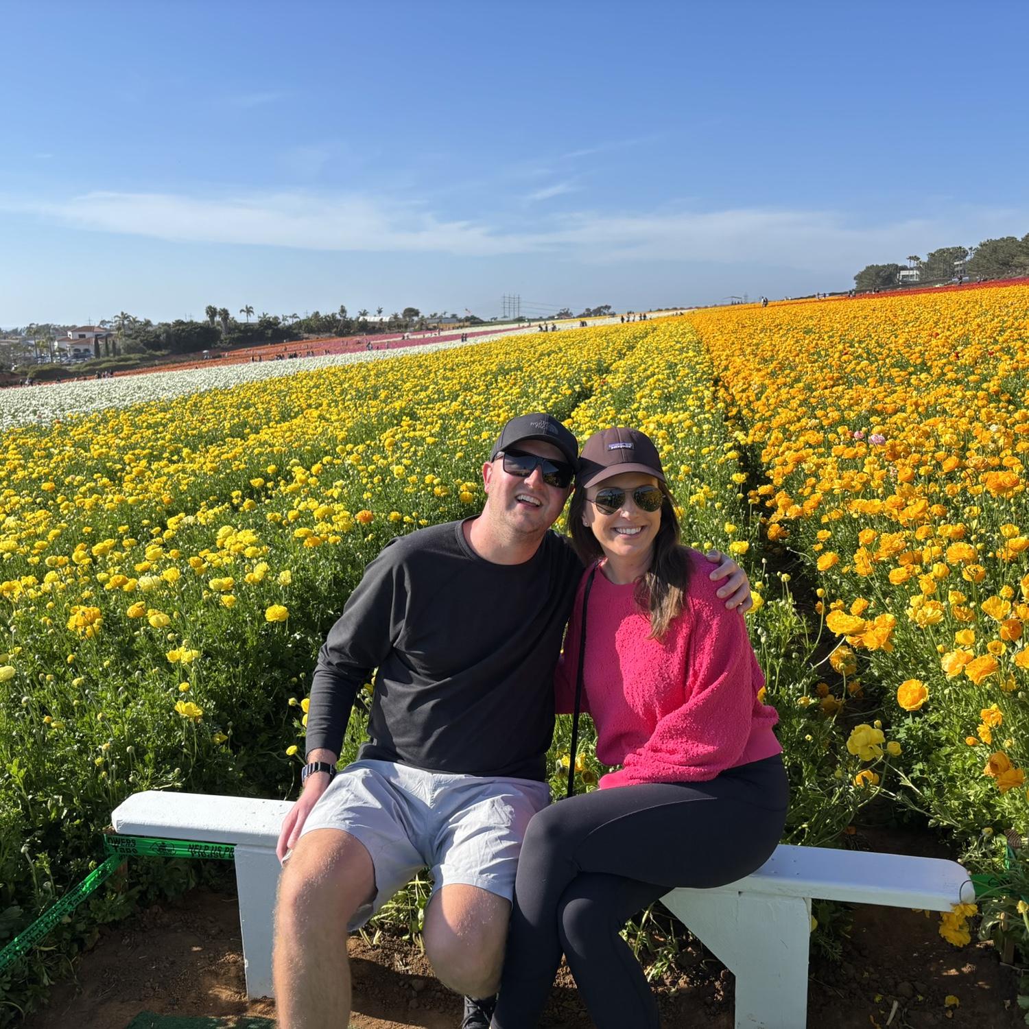 Flower Fields