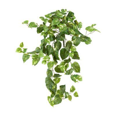 Nearly Natural 40-Inch Pothos Vine (Set of 3)