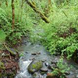 Bothe-Napa Valley State Park