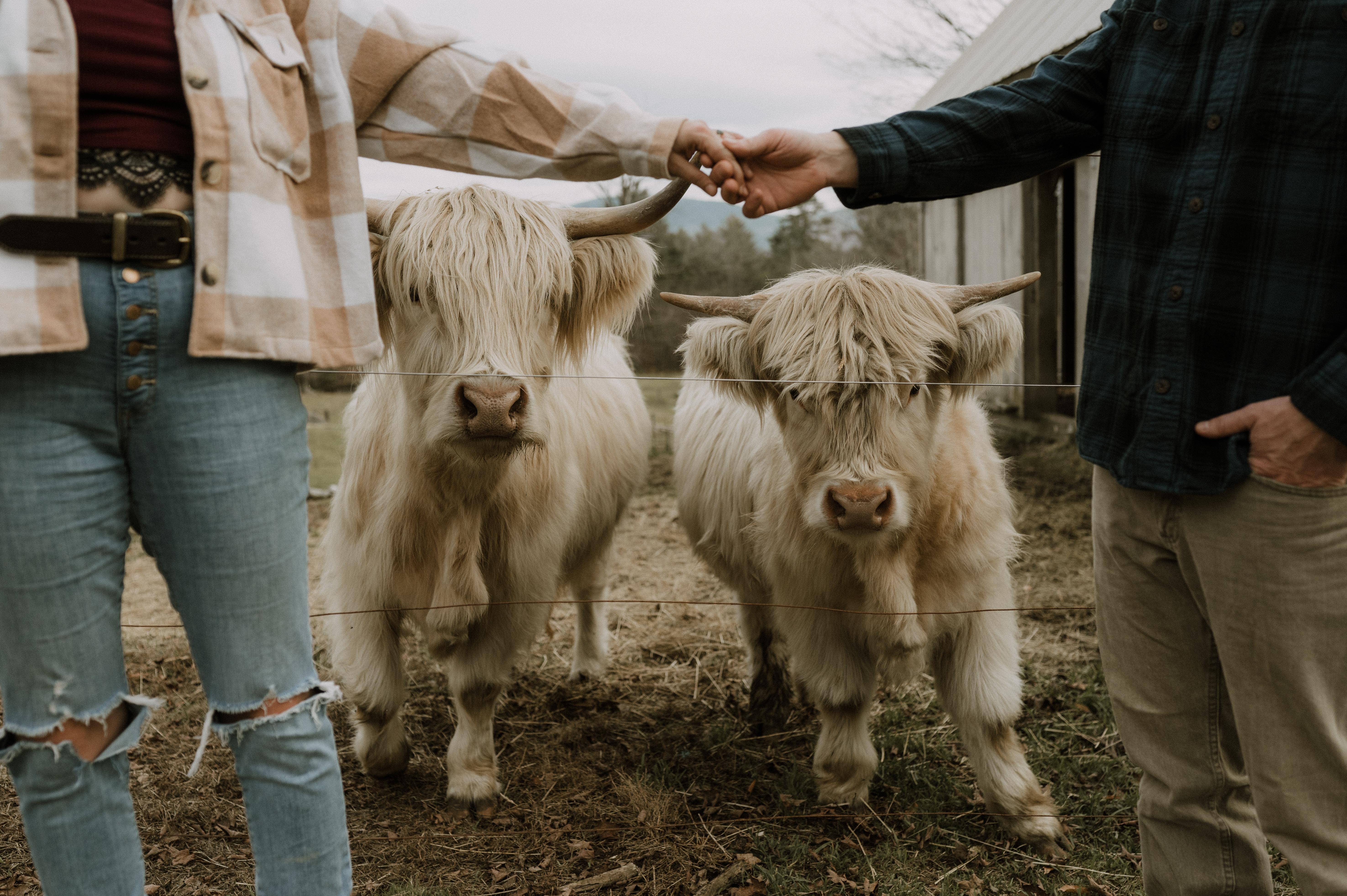 The Wedding Website of Melanie Tata and Ryan Hooker