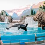 SeaWorld San Antonio