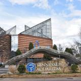 Tennessee Aquarium