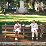 Stroll or Picnic in a Park