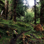 Olympic National Park