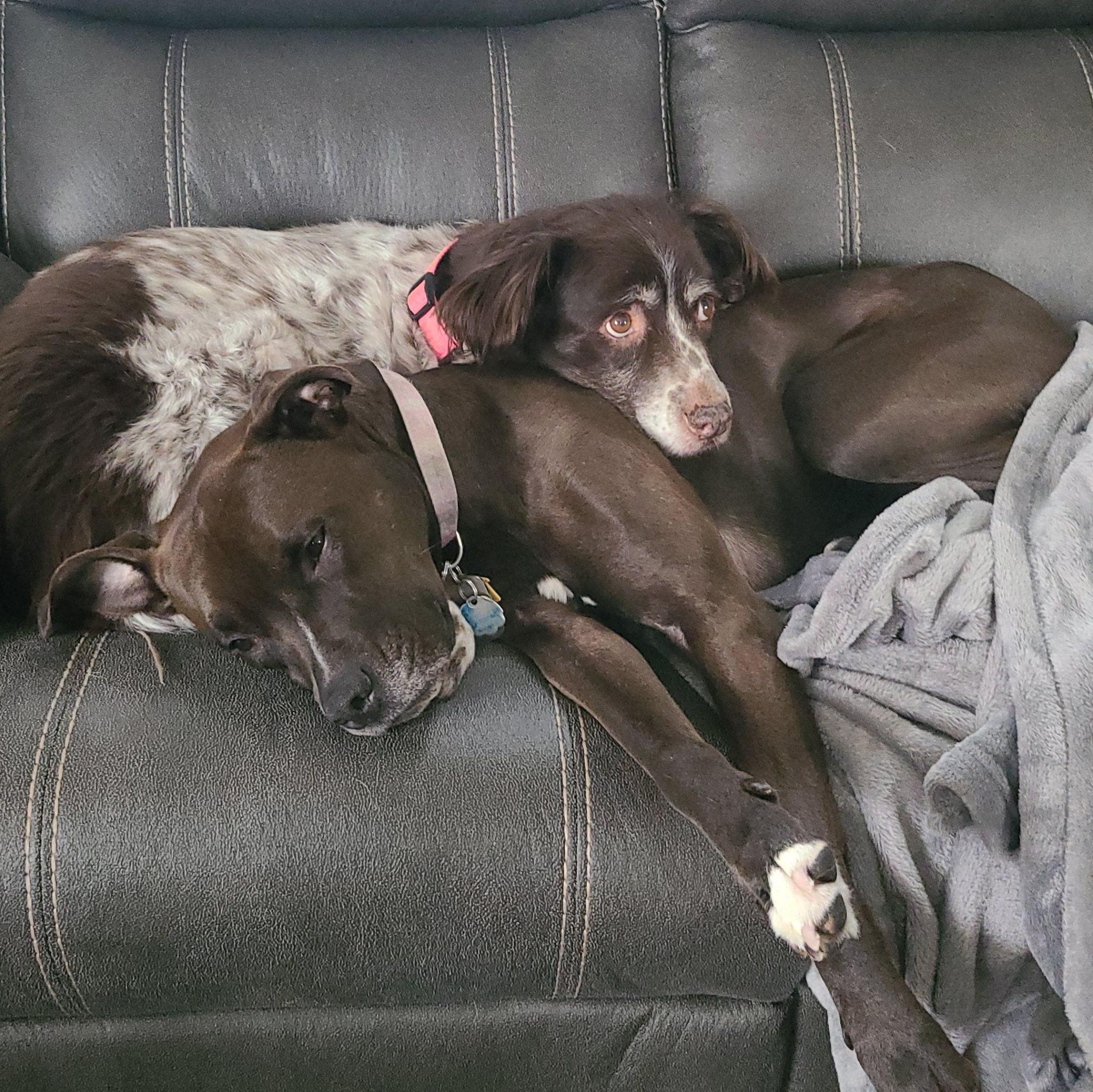 And then each other's best friends.