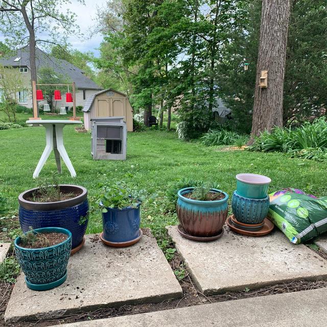 terra cotta pots for growing herbs in our garden